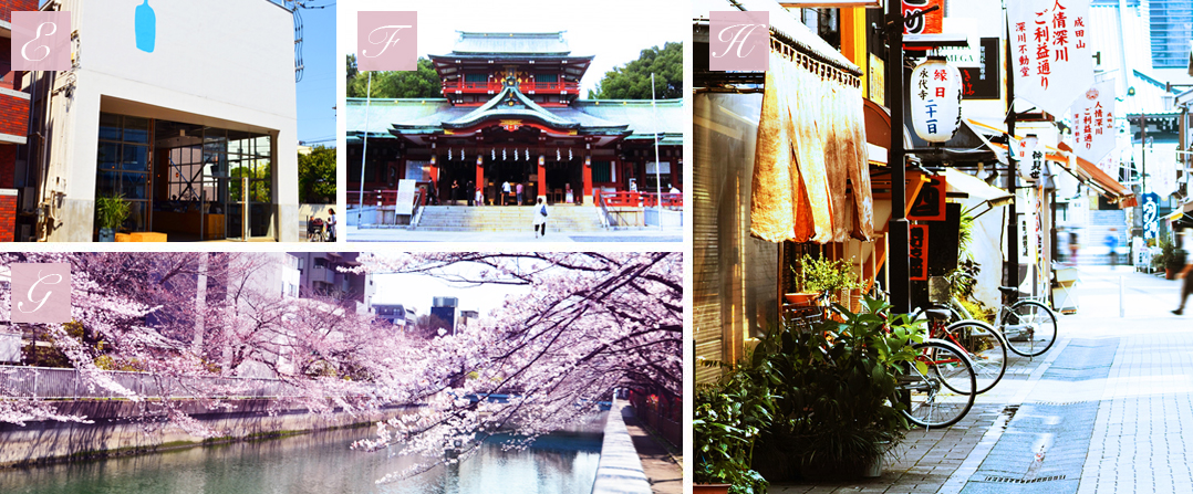 ロケーションe~h